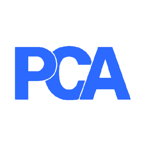 Professional Consultants & Auditors
